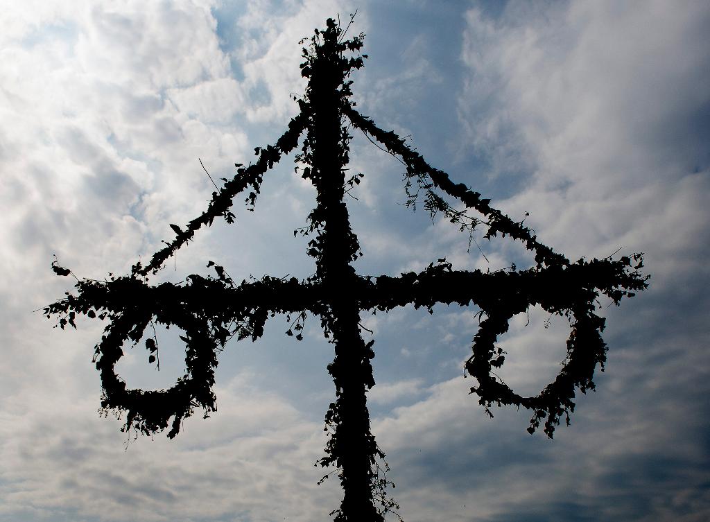Fylla Och Misshandel I Midsommar fylla-och-misshandel-i-midsommar