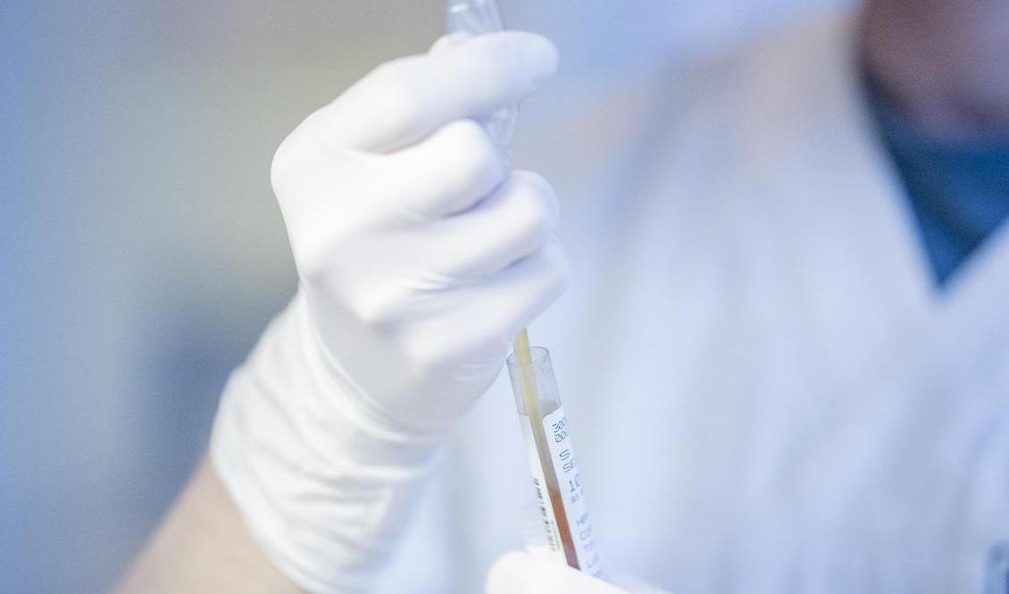 Negativt test krävs för inresa till Sverige