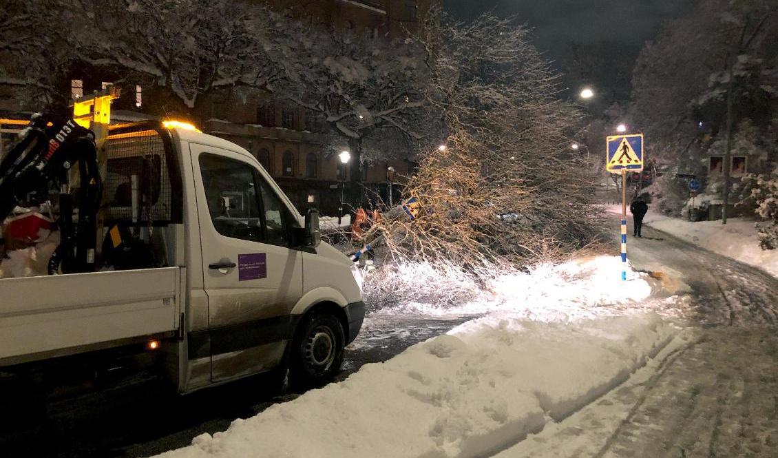 Varningar för snöfall under natten