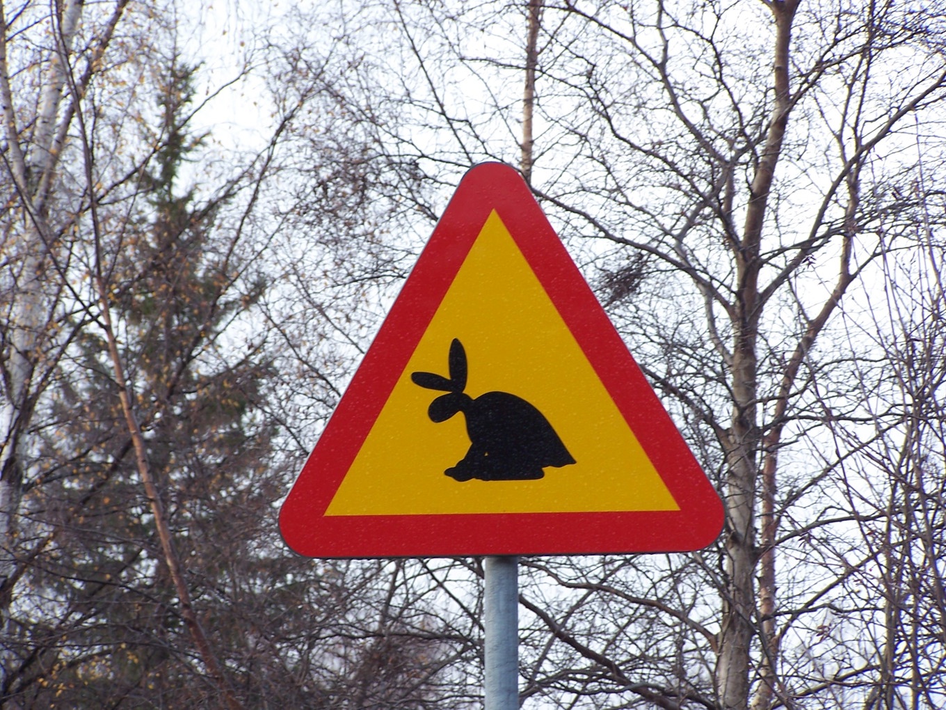 Swedish Skvander Sverige – ett land som styrs av skvadrar