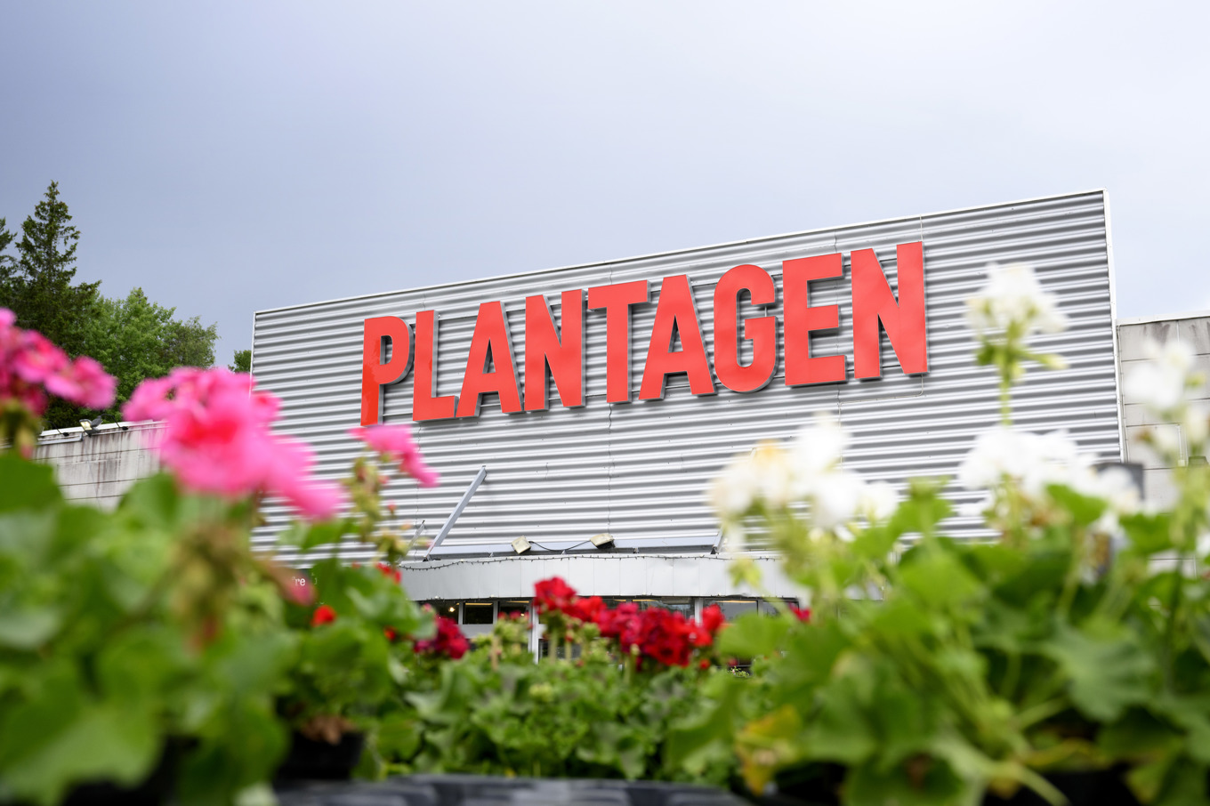 vinstlyft-f-r-plantagen-garen