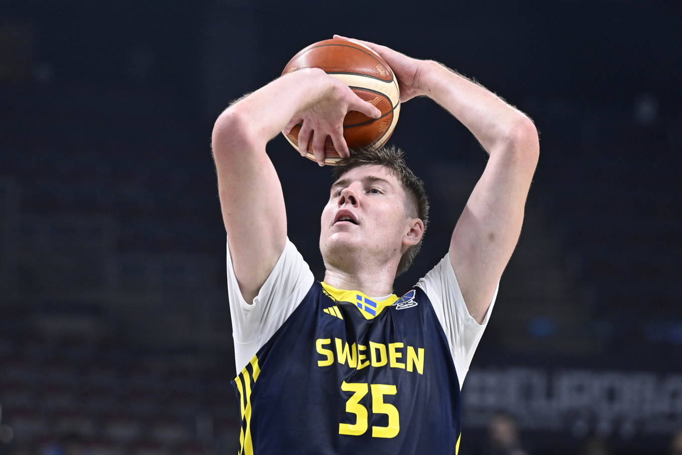 Flera stjärnor saknas när Sverige VM-kvalar