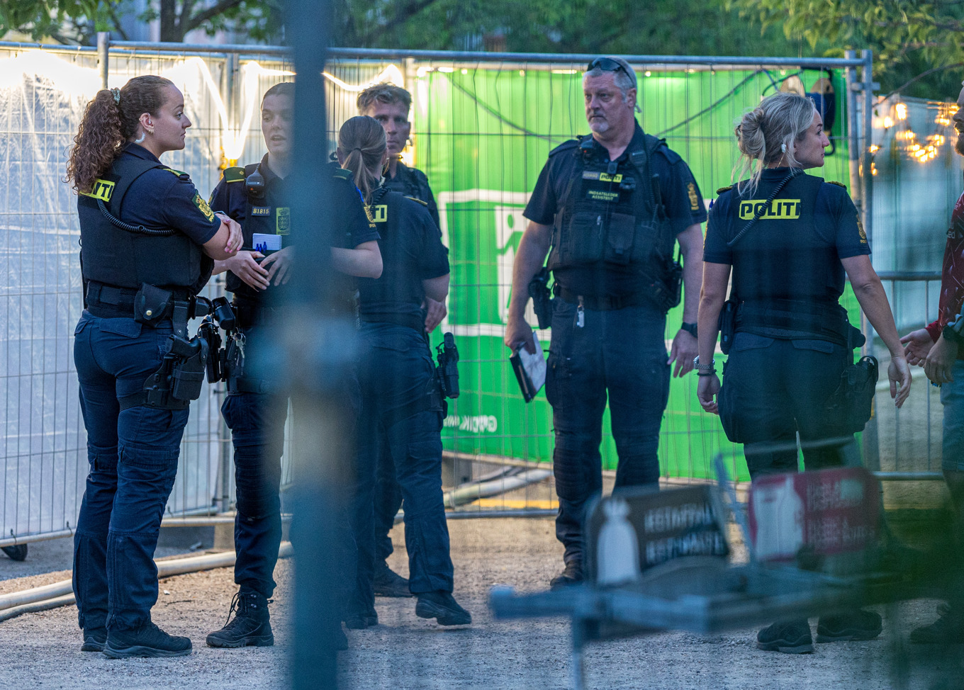 Billedet i artiklen